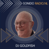DJ Goldfish back in time